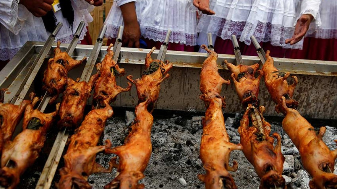 Festival de comida con roedores