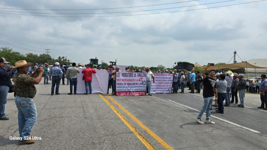 Descapitalizados y en espera del apoyo, productores de sorgo 