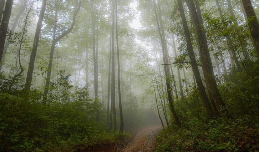 Tamaulipas, complemento de la aventura mundialista del fútbol