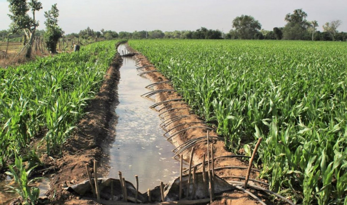 Abren compuertas de presas en riego de auxilio 