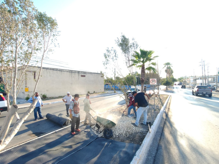 Imparable trabajo de limpieza y embellecimiento del Gobierno de Reynosa