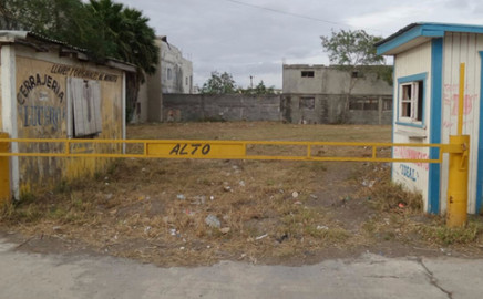 Abren centros de acopio recolección de árboles de Navidad en Valle Hermoso 