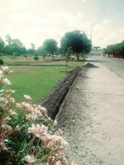 Iba por la barbacoa y detuve la obra: directora del parque Olímpico 