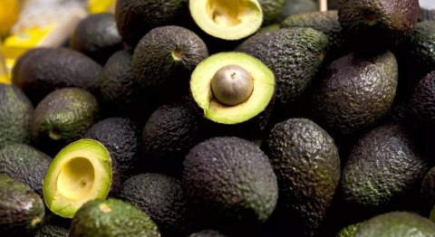 Costa Rica levanta la restricción a la importación de aguacate mexicano