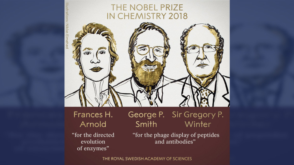 El Nobel de Química premia a los directores de la evolución de las proteínas