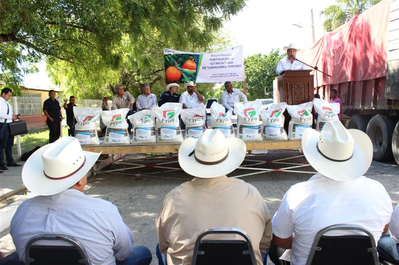 Tamaulipas destaca en producción de naranja