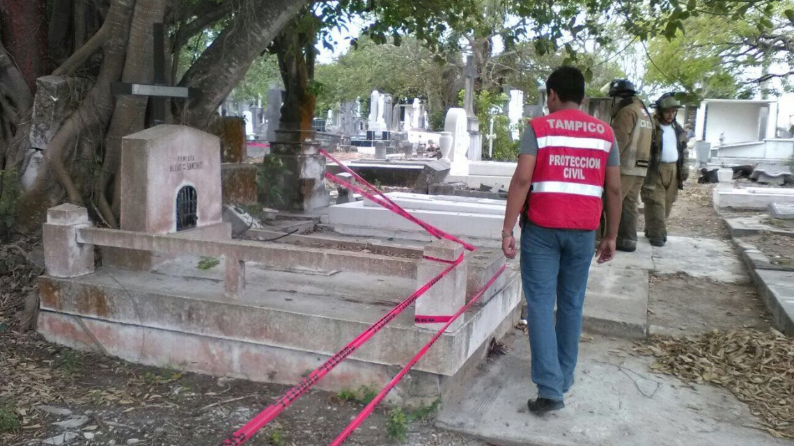 Abejas africanizadas causan pánico en panteón privado