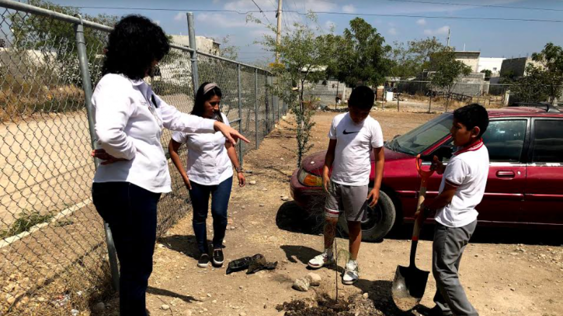 Fomentan valores en los niños mediante actividades de reforestación