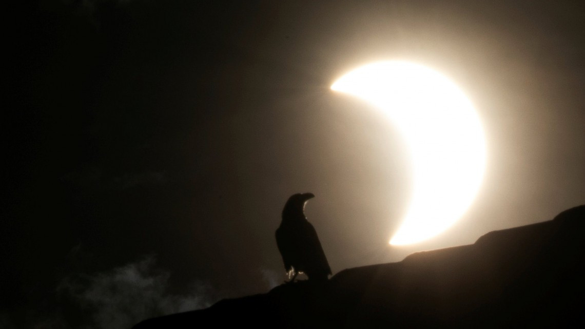 Cientos disfrutaron del eclipse solar “círculo de fuego”