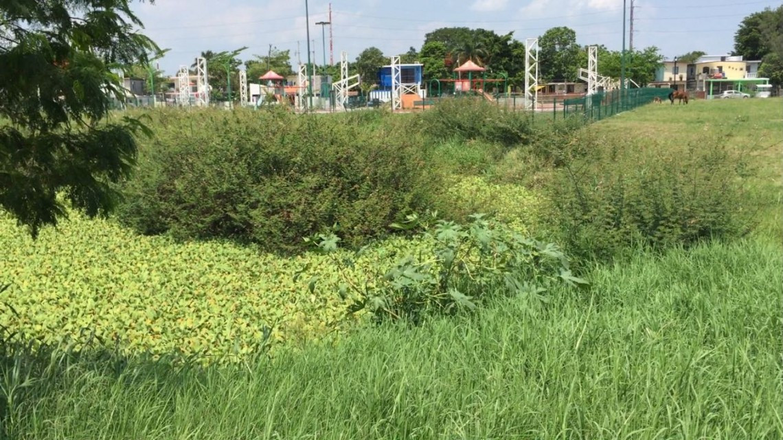 Solicitan limpieza de drenajes pluviales de la zona sur