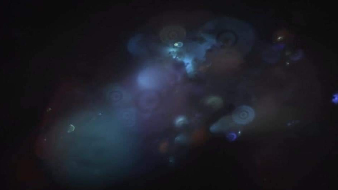 Mujer observa cenizas de su padre en microscopio y descubre microcosmos 