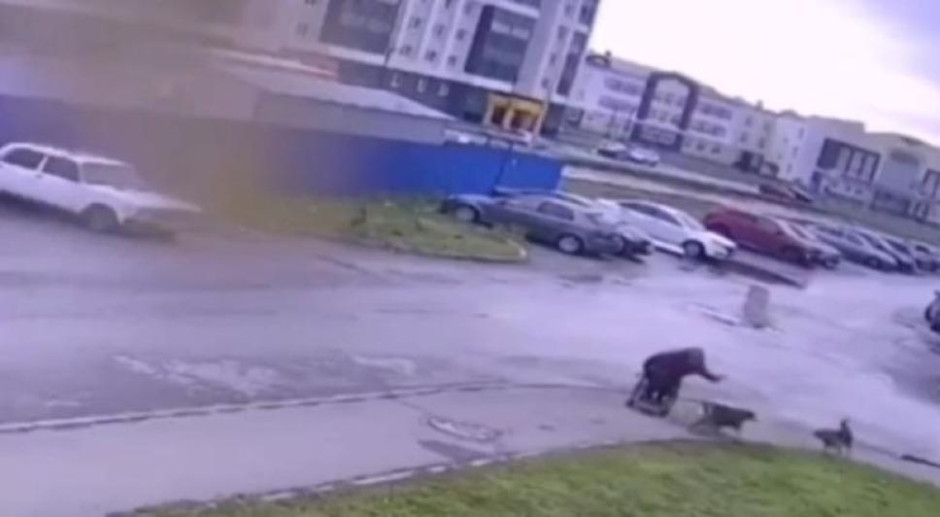  Hombre en silla de ruedas salva a su perrito de una jauría