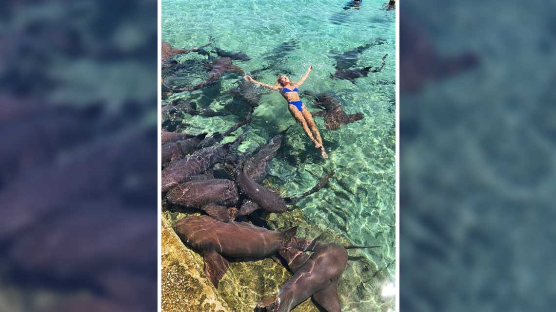 Modelo es atacada por tiburón mientras era fotografiada
