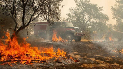 Aumenta a 84 el número muertos por incendios en California