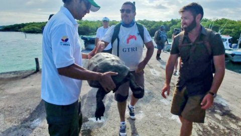 Hallan espécimen de tortuga que creían extinta hace cien años
