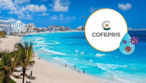 Playas más contaminadas y no recomendadas para vacacionar por la Cofepris; ¿Tamaulipas esta incluído?