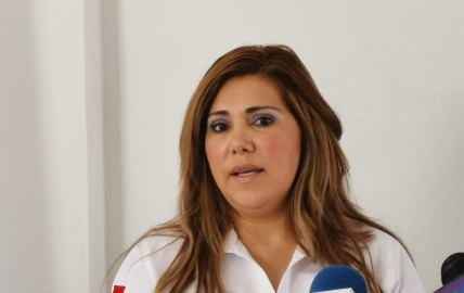 La nueva reforma educativa, es un retroceso a la educación: Nohemí Alemán 