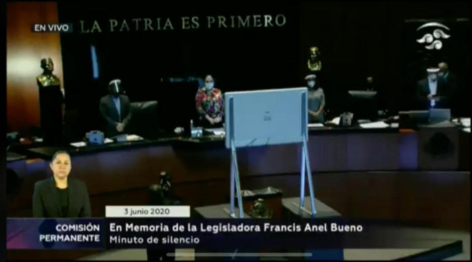 Senado guarda un minuto de silencio en memoria de  Francis Bueno