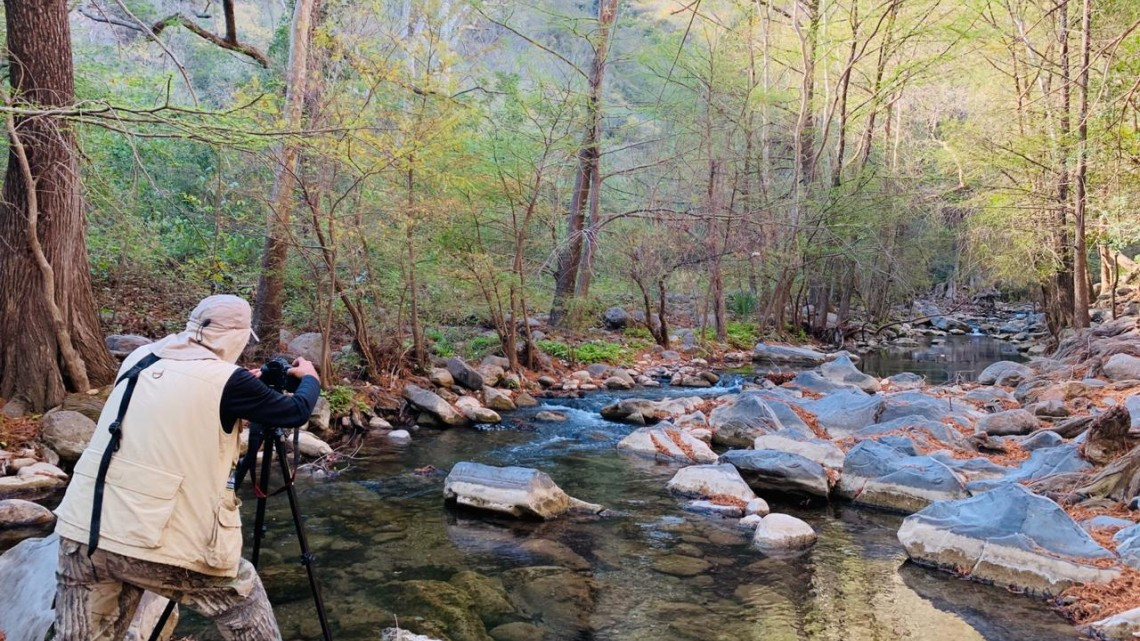 Tamaulipas, sede del Primer Congreso Internacional de Fotografía de Naturaleza