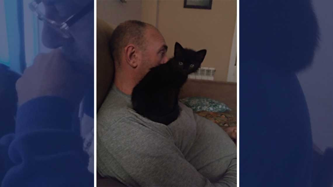 ¡No quiero animales!, días después...