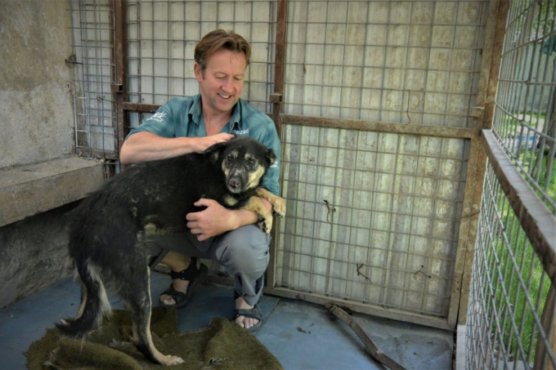Todo un héroe: hombre intenta rescatar más de 200 perros y gatos en Afganistán