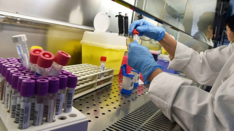 EU confirma octavo caso de nuevo coronavirus