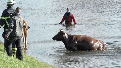 Deja tormenta 5 muertos en Europa Central