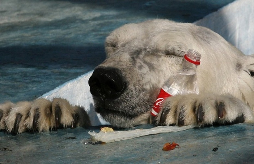 Coca-Cola, PepsiCo y Nestlé, principales causantes de la contaminación plástica mundial