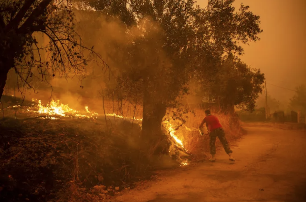 Asciende a 65 la cifra de muertos en los incendios en el norte de Argelia
