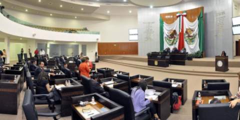 Seré la voz en el Congreso de los Grupos Vulnerables: Karina Ensignia