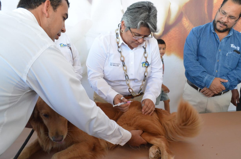 Inicia en Tamaulipas Semana Nacional de Vacunación Antirrábica 