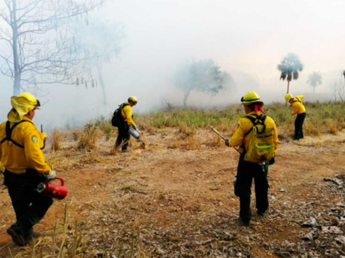 México con 4 incendios forestales activos