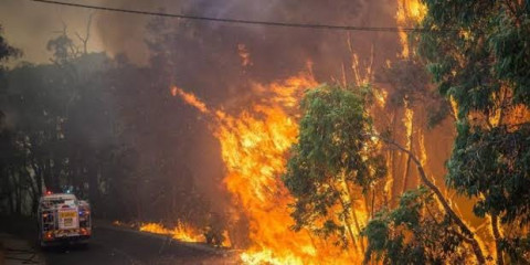 Australia declara estado de emergencia ante ola de incendios forestales
