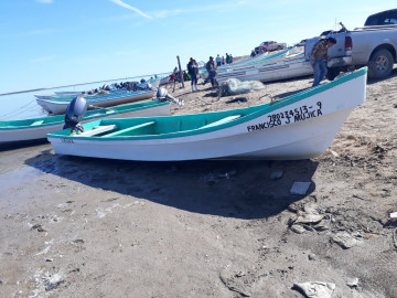 Continua Secretaría de Pesca y Acuacultura con los procesos del ordenamiento pesquero