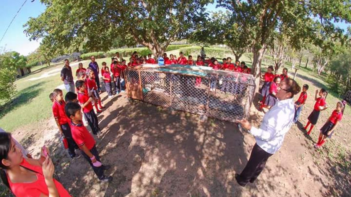 Realizan visitas a la Dirección de Agricultura y Vida Silvestre