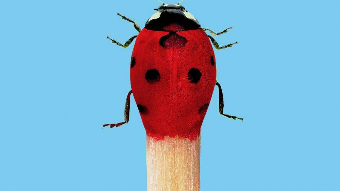 13 imágenes que engañarán a tu cerebro