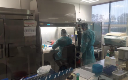 Analiza SST 12 nuevos casos sospechosos a COVID-19