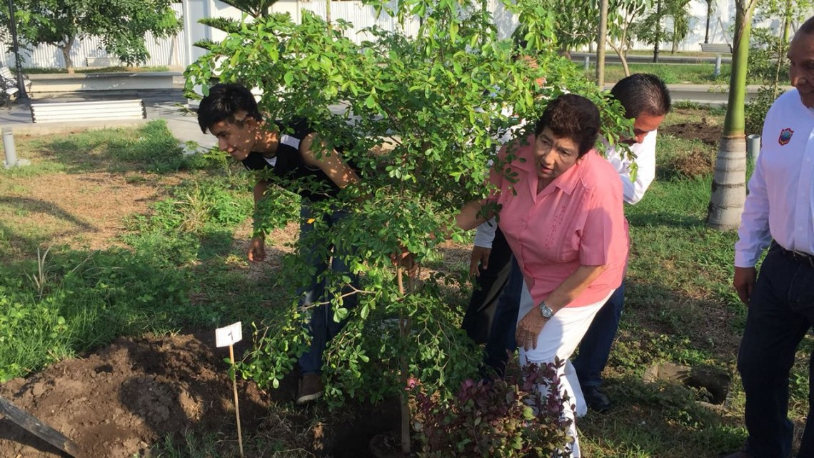 Siembra Ayuntamiento 21 árboles