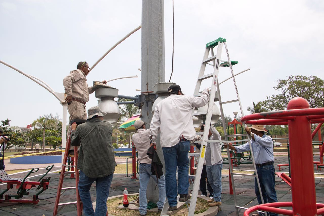 Realizan acciones para proteger tortugas y aprovechar peces del Parque Bicentenario