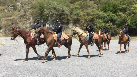 Suspenden Búsqueda aérea de persona desaparecida 