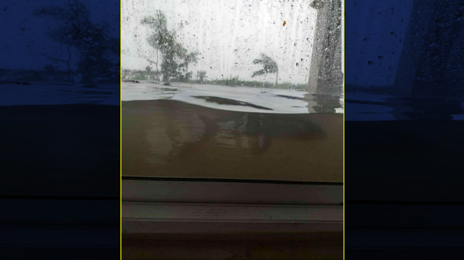 Captan figura de un tiburon en las casas inundadas de las Bahamas