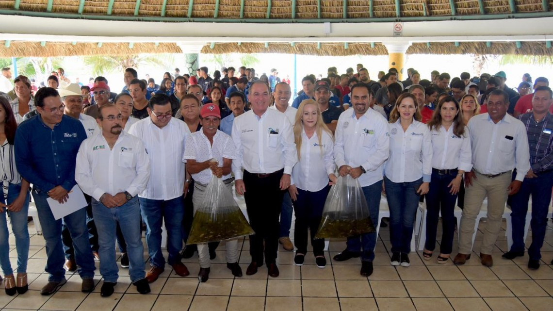 Liberan 50 mil crías de tilapia en sistema lagunario Champayán.