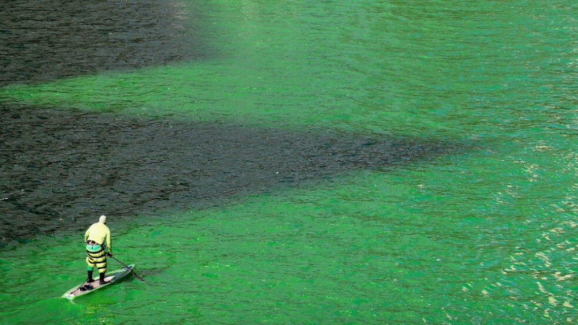 Chicago se tiñe de verde
