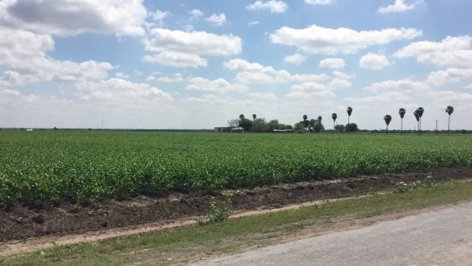 Grave retroceso en el campo: CCC 