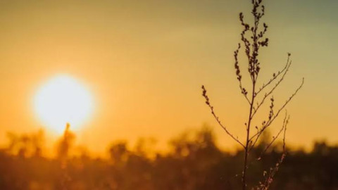 Detienen a responsable de Incendio en Viña del Mar
