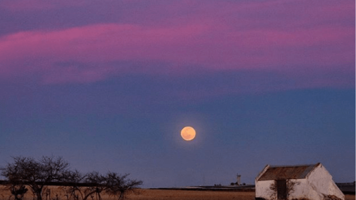 Aquí las espectaculares imágenes de la superluna de “gusano”