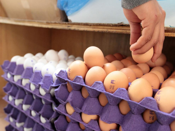 Se incrementa costo de huevo hasta 10 pesos por kilo