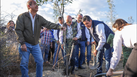 Reforesta Gobierno de Tamaulipas Parque Estatal “El Refugio”