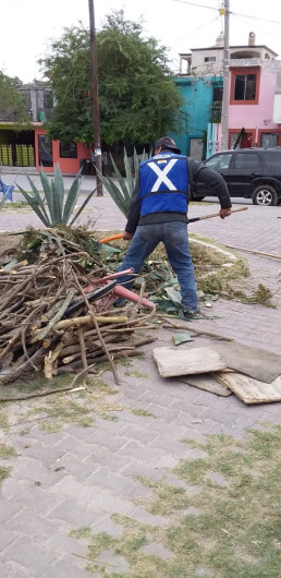 Realiza Municipio trabajo permanente de limpieza para evitar reproducción de mosquitos