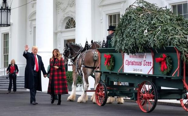 Llega la Navidad a la Casa Blanca